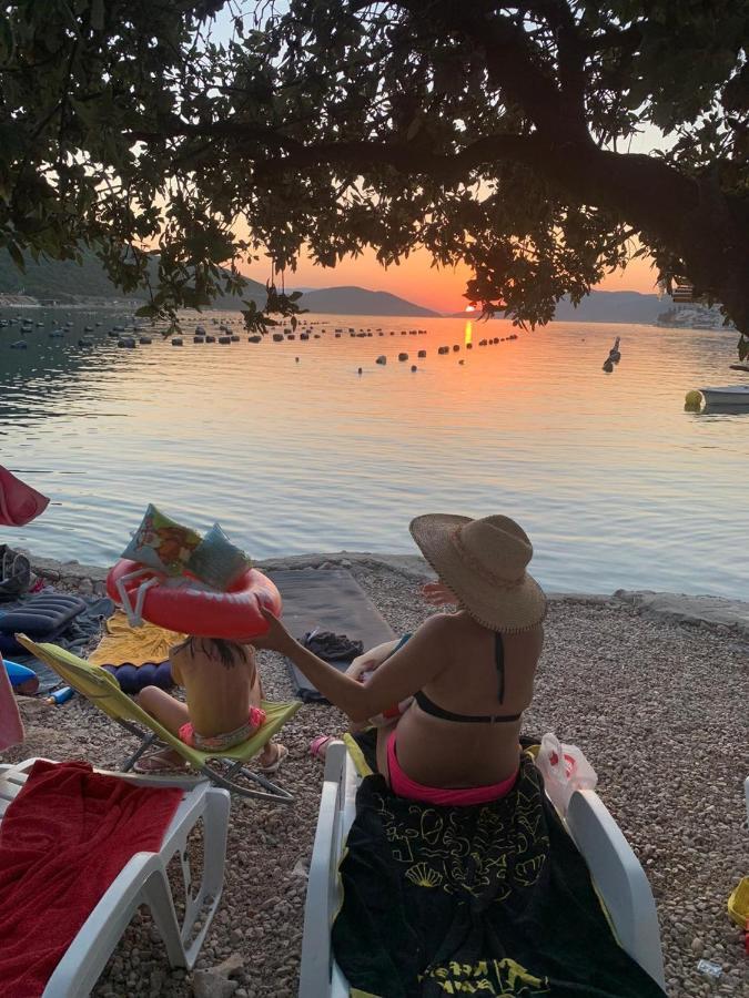 Modern Dream Neum