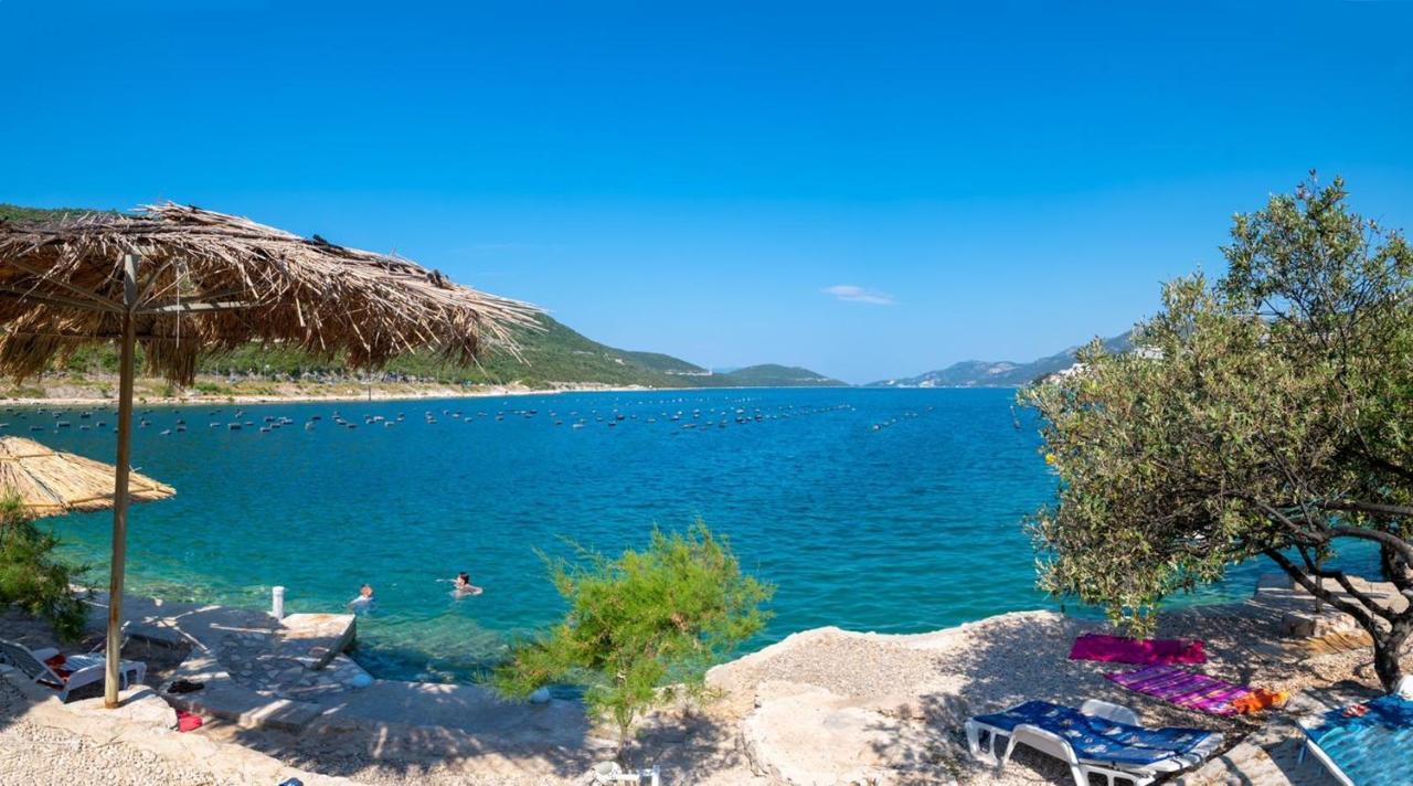 Modern Dream Neum