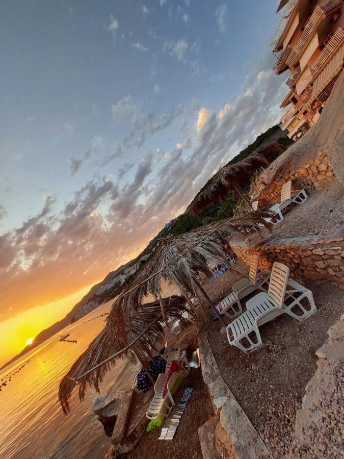 Modern Dream Neum